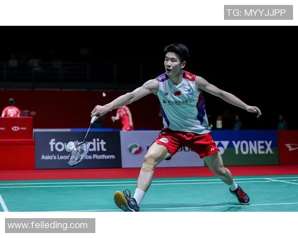 羽毛球顶级赛事选手状态及表现分析